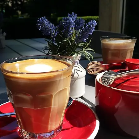 Bed & Breakfast Maison Belmont *